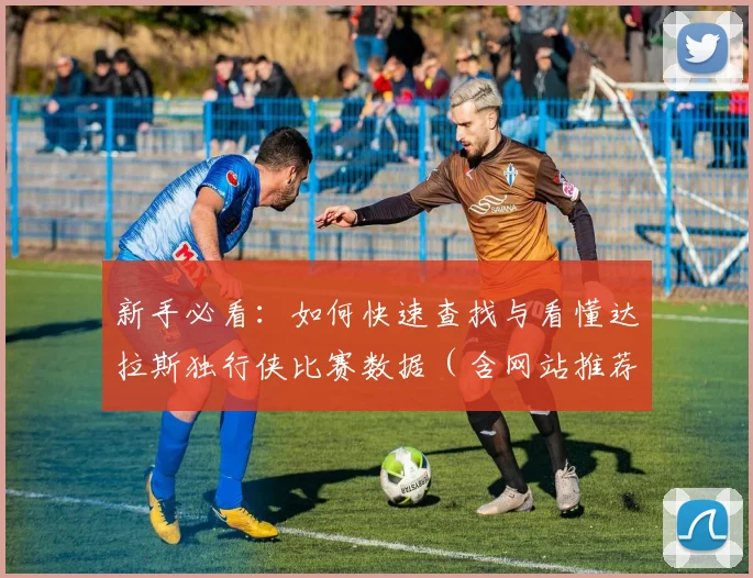 新手必看:如何快速查找与看懂达拉斯独行侠比赛数据(含网站推荐)